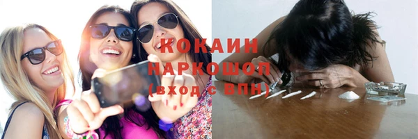 эйфоретик Пересвет