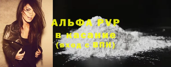 эйфоретик Пересвет