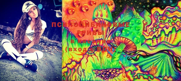 эйфоретик Пересвет