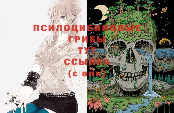 эйфоретик Пересвет