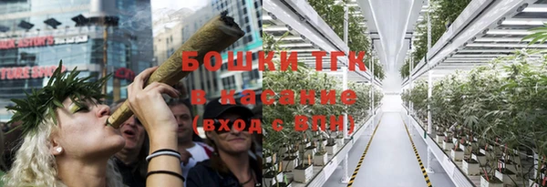 эйфоретик Пересвет