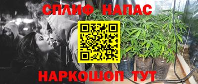 jwh Нальчик