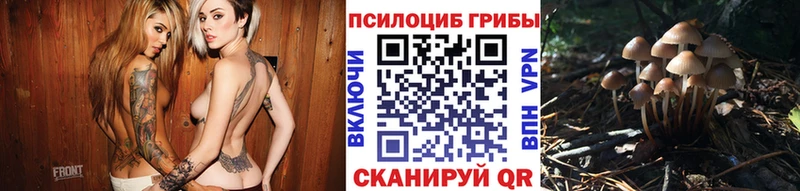 гидра маркетплейс  Владимир  Галлюциногенные грибы GOLDEN TEACHER 