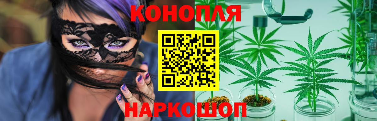 Каннабис планчик Владимир